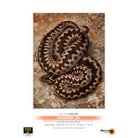 Permajet 50313 Parchment Classic - 285gsm A4 (Pk25)