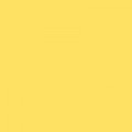 Colorama DANDELION 2.72x11m Background Paper Roll
