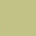 Colorama FERN 2.72x11m Paper Background Roll