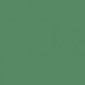Colorama APPLE GREEN 2.72x11m Background Paper Roll