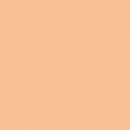 Colorama BANANA 2.72x11m Background Paper Roll
