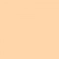 Colorama BARLEY 2.72x11m Background Paper Roll