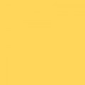 Colorama BUTTERCUP 2.72x11m Background Paper Roll