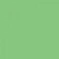 Colorama CHROMAGREEN 2.72x11m Background Paper Roll