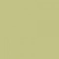 Colorama FERN 1.35x11m Background Paper Roll