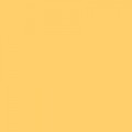 Colorama MAIZE 1.35x11m Background Paper Roll
