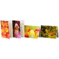 Permajet Greeting Cards 300GSM A5 Gloss (25 Cards)