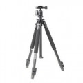 Benro Universal Tripod Kit + N1 Head