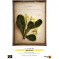 Permajet 50133 Artist Classic - 210gsm A3+ (Pk25)
