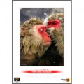 Permajet 22613 Fibre Based Gloss 295gsm A4 (25)